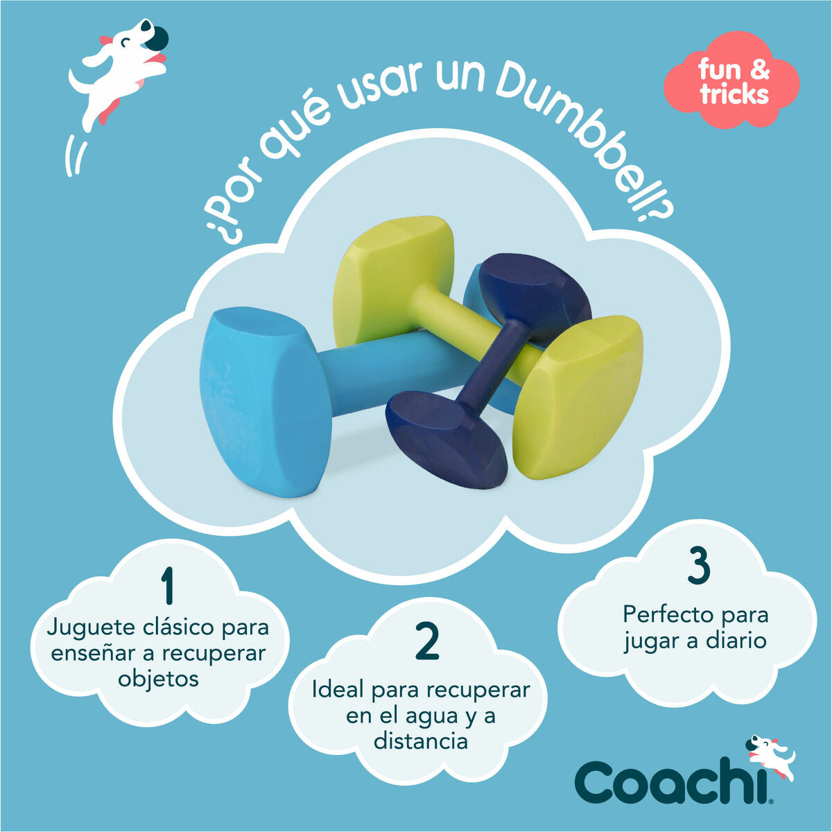 Training toy Coachi TRAINING DUMBBELL Blue-7