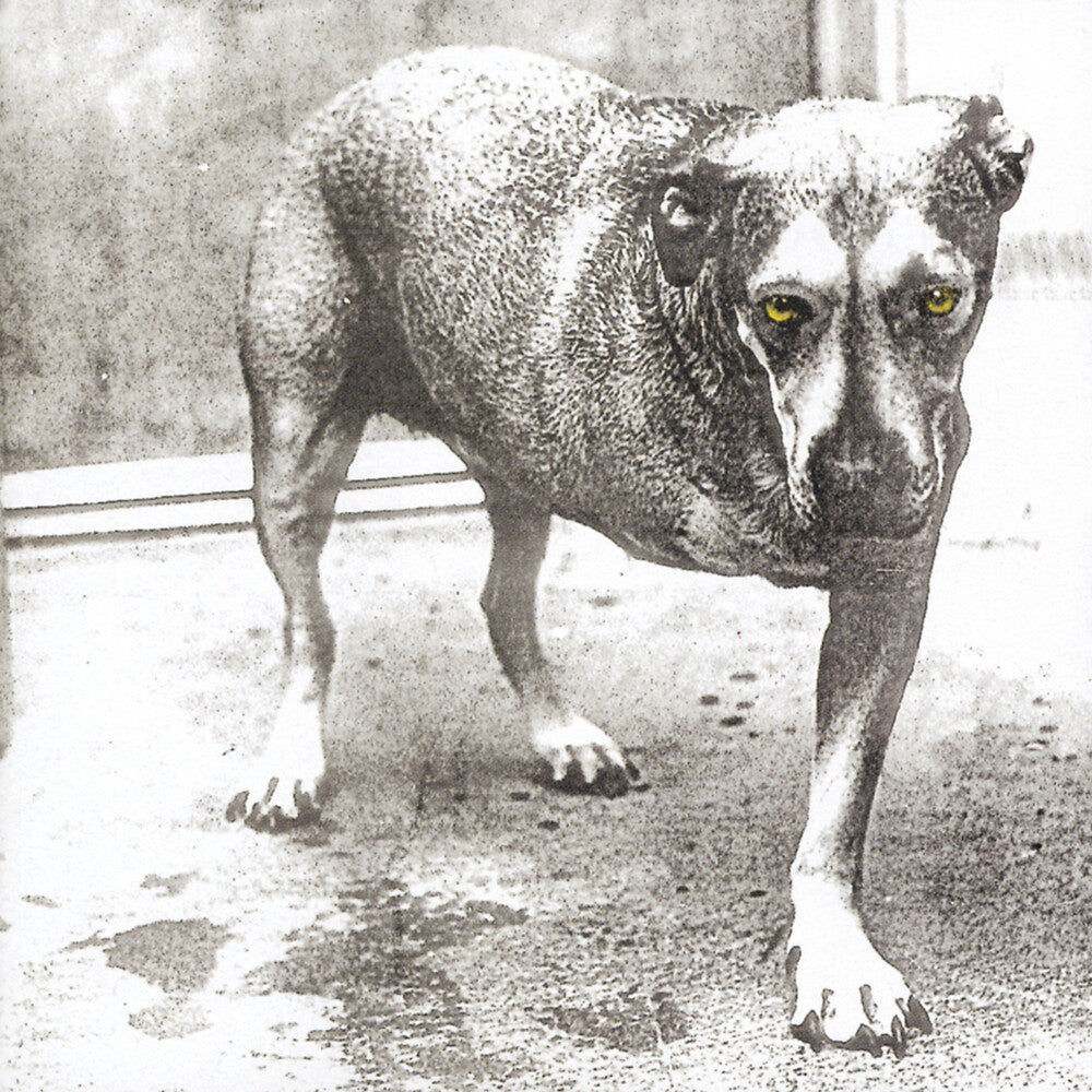 Alice In Chains - Alice In Chains (30th Anniversary Reissue) [Colored Vinyl] Vinyl Record