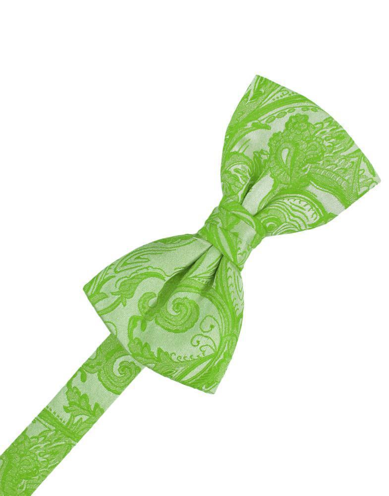 Tapestry Bow Tie Pre-Tied-27